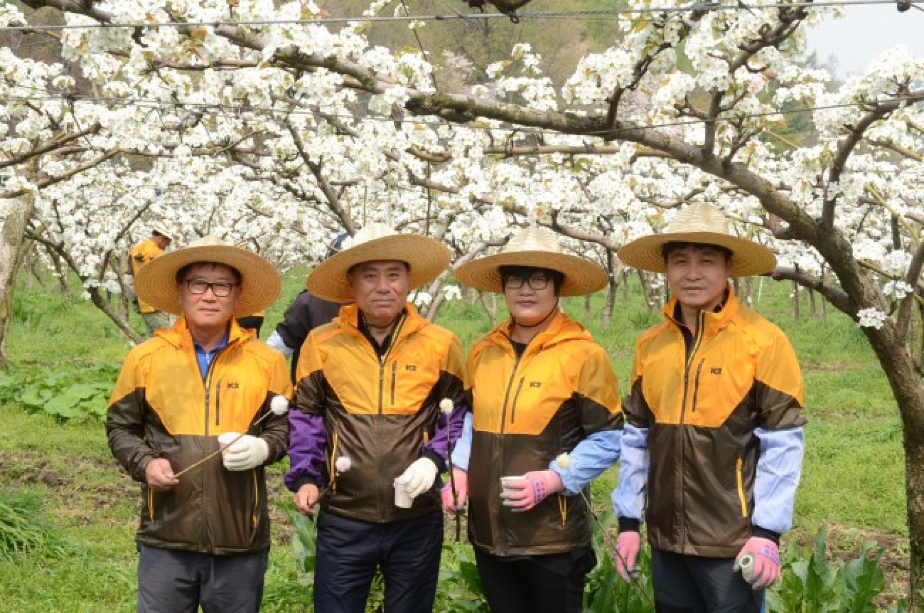 아산시의회 농촌일손돕기 구슬땀